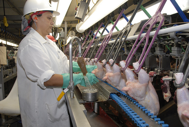 UFCW Members Make Safety A Priority at Tyson Poultry Plant