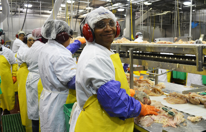 How Increasing Poultry Line Speeds Could Make Chicken Unsafe to Eat