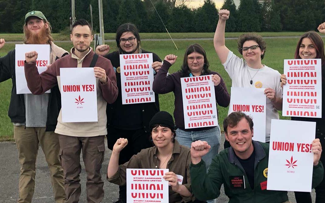 Story Cannabis Workers Vote to Unionize Mechanicsville Dispensary