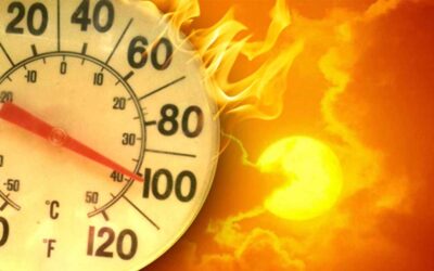New Maryland Heat Safety Standard Protects Workers